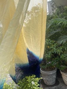 Elegant Ombre Saree