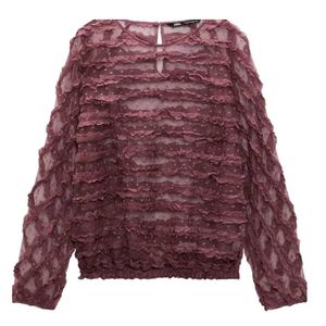 Zara sheer top 60% off