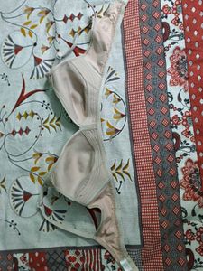 Women’s Bra