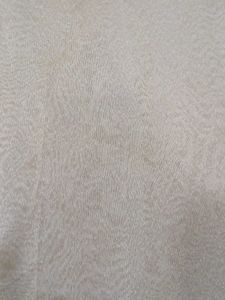 Elegant Beige Saree