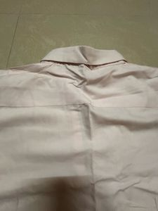Scale Soft Pink Button-Down Office Shirt