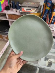 Minimalist melamine Dinner Plate