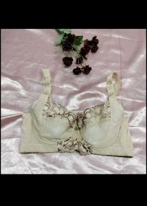 Elegant Lace Trimmed Bra