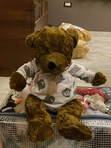 Cute Teddy Bear with Pajamas