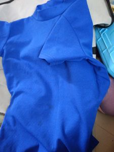 Vibrant Blue T-Shirt