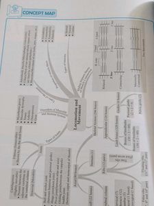Class 11 CBSE Biology Question Bank