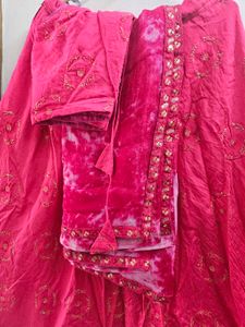 rani Pink Embroidered with sequins Lehenga Choli S