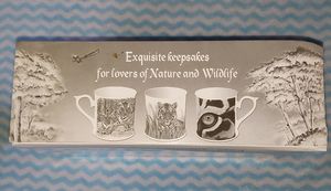 Wildlife Craft Collection 👌
