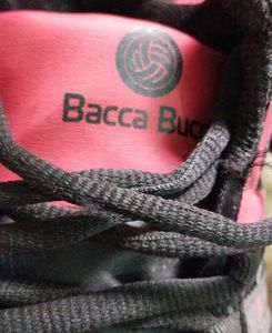 Bacca Bucci Shoes.