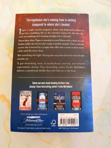 The Crash by Freida McFadden - Thriller Novel