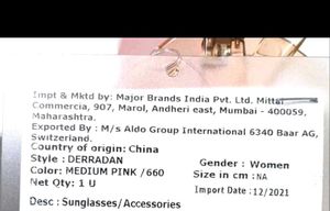 Aldo Sunglasses (NEW)