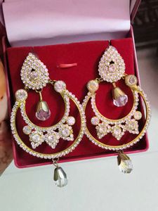Stunning Crystal Hoop Earrings