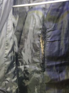 PEPE  Heavy Jacket For Winter