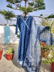 Elegant Blue Printed Kurta