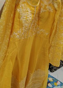 Elegant Yellow Embroidered gown