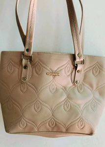Chic Tote Bag Set