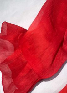 Chic Red V-Neck Sheer Sleeve Top