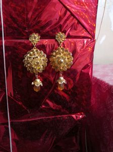 Exquisite Dangle Earrings with Crystals