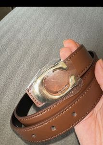 coach belt