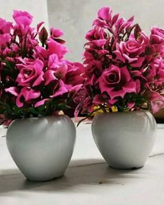 SP Enterprises Bonsai Rose Artificial