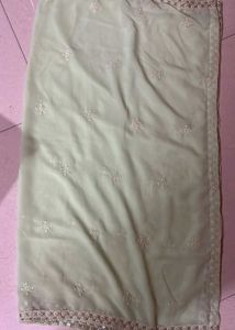 Beautiful Bottle Gourd Colour Dupatta