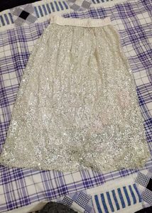 Very Fancy Sequin Work Skirts