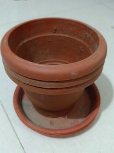 plants pots pack of 3