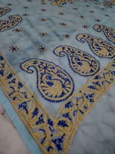 Beautiful skyblue handwork Saree