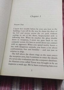The Lie by C.L. Taylor