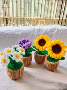 sunflower pot