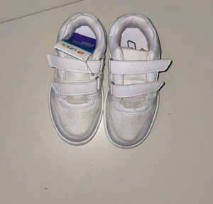 Lotto Velcro Running Shoes For Boys . New With Tag