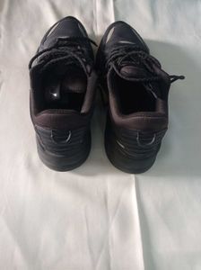 Puma Men Shoes