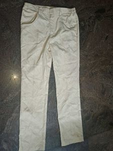 Casual Beige Trousers