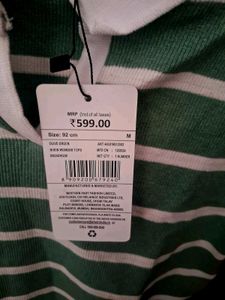 Green Striped Cropped Polo Shirt