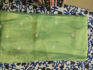 Light Green Embroidered suit