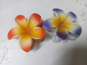 New Flower Hair Clips