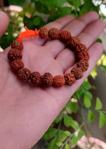 Panchmukhi Rudraksha Bracelet