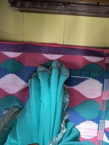 Beautiful Teal Embellished Saree