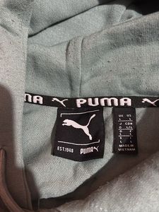 Green SF Hoodie