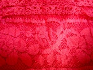 Forever 21 Red Lace Skirt