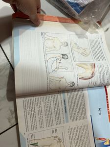 Anatomy Book