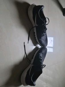 Nike Running Shoes