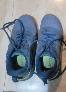 Blue Campus Running Shoes