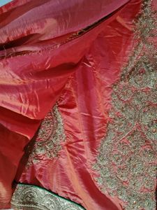 Beautiful Coral Saree with Golden Border