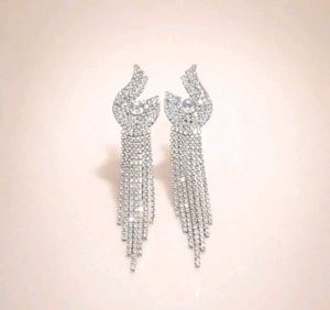 Sparkling Dangle Earrings