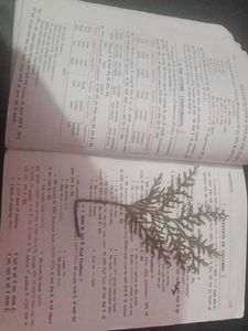 New Light in General English Book 10