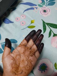 Bridal Henna organic Cones