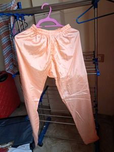 Elegant Peach Embroidered ₹350