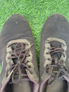 Skechers shoes