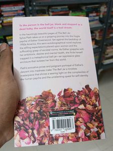 Used Agatha Christie &amp; Sylvia Plath Books